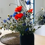 Casa de Férias Lagom *